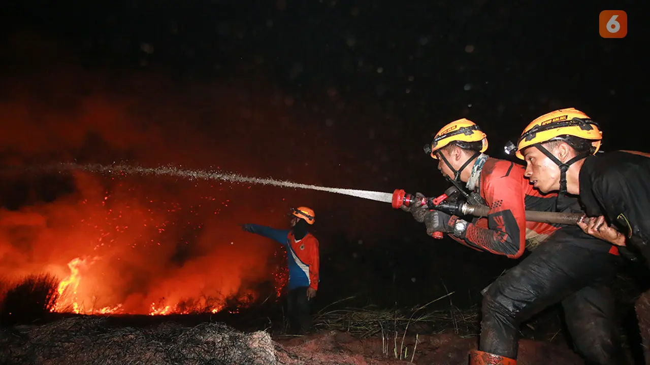 Karhutla BPBD Kalimantan Selatan Kalsel