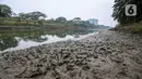 Kondisi aliran Kanal Banjir Timur (KBT) yang surut di kawasan Cakung, Jakarta, Rabu (23/8/2023). Musim kemarau yang terjadi dalam satu bulan ini menyebabkan debit air KBT berkurang sehingga beberapa bagian sungai membentuk daratan. (Liputan6.com/Faizal Fanani)