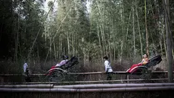 Wisatawan menaiki becak untuk berkeliling Hutan Bambu Sagano di Arashiyama, Kyoto, Jepang pada 8 Desember 2018. Hutan ini juga menjadi tempat yang cocok untuk jalan-jalan santai atau bersepeda. (Behrouz MEHRI / AFP)