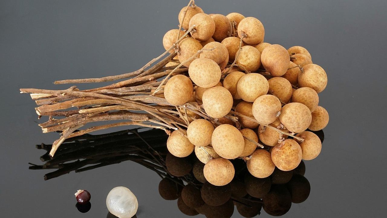 Ilustrasi Kelengkeng