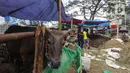Sepekan jelang Idul Adha 1445 H, sejumlah pedagang hewan kurban ramai berdatangan di Jakarta. (Liputan6.com/Angga Yuniar)