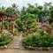 11 Inspirasi Halaman Rumah Kampung dengan Kebun Bunga, Cantik Penuh Warna