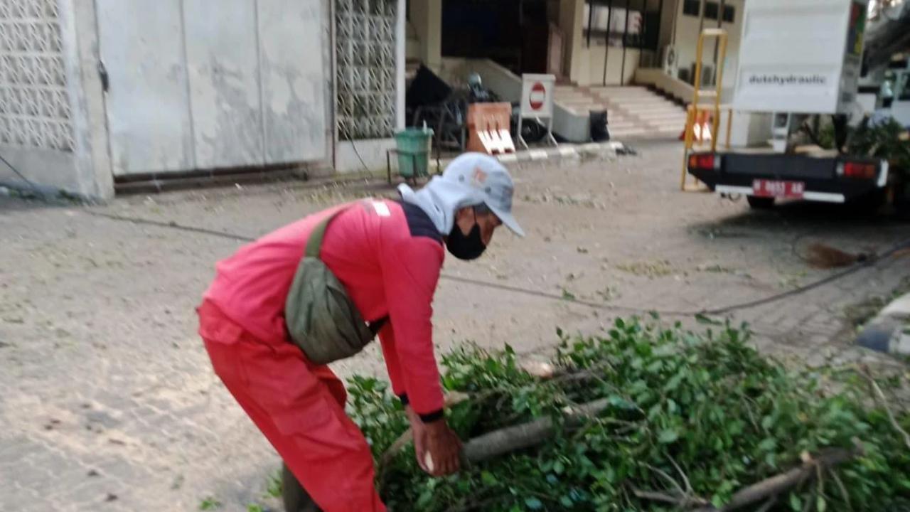Pemkot Semarang Tangani Dampak Hujan Disertai Angin Kencang, Dalam Semalam 86 Pohon Tumbang Dievakuasi