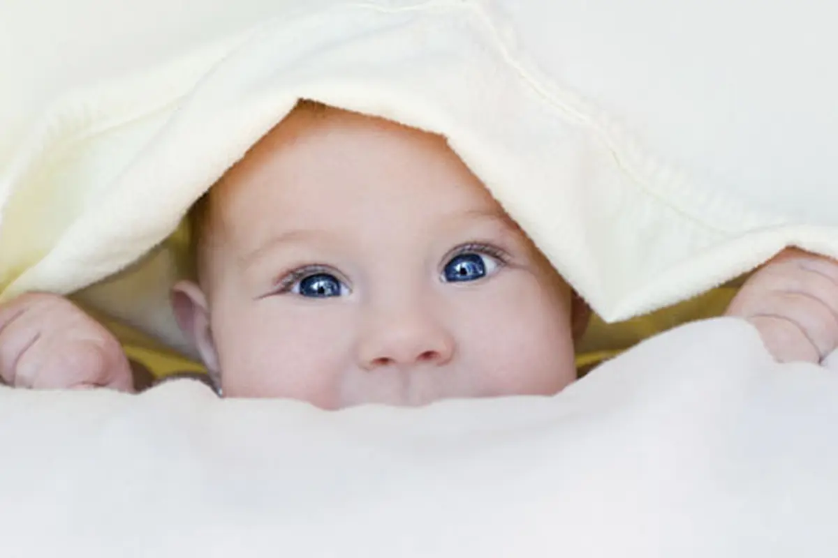 (c) shutterstock