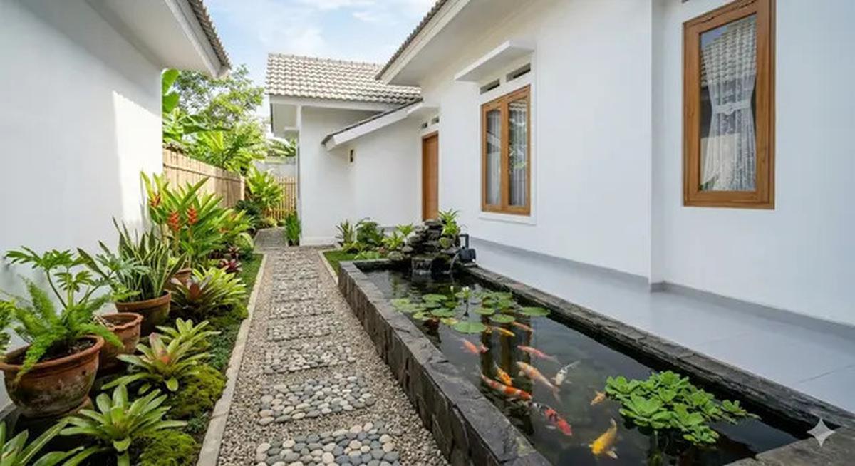 5 Inspirasi Model Kolam Ikan Memanjang di Samping Rumah Subsidi yang Menenangkan