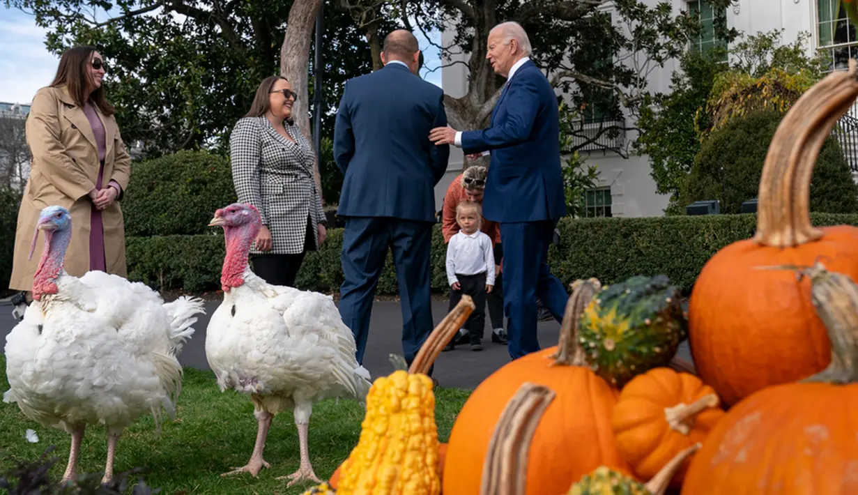 Pada tahun 1947, Presiden AS Harry Truman menjadi penerima pertama seekor burung yang dihadiahkan oleh para peternak kalkun Amerika, sebuah tradisi yang terus berlanjut. (AP Photo/Andrew Harnik)