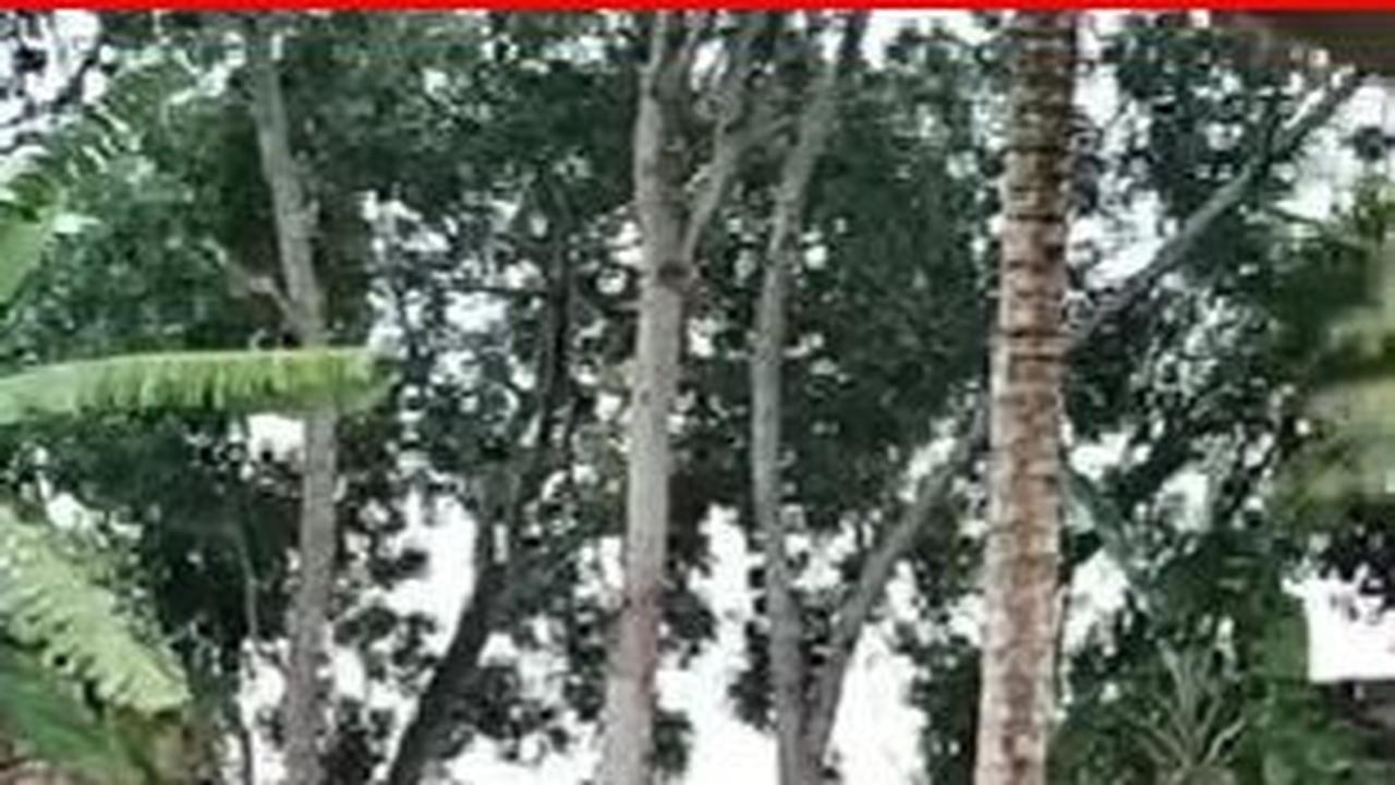 Mengunjungi Makam Tan Gee Tjhiang di Salatiga, Kolongmerat Tionghoa pada Era VOC