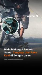 Bikin Melongo! Pemotor Santai Tangkap Ular Pakai Kaki di Tengah Jalan