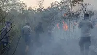 Kebakaran Way Kambas Meluas, Diduga Sengaja Dibakar