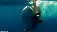 [VIDEO] Aksi Pemancing Tunggangi Ikan Mola Jumbo