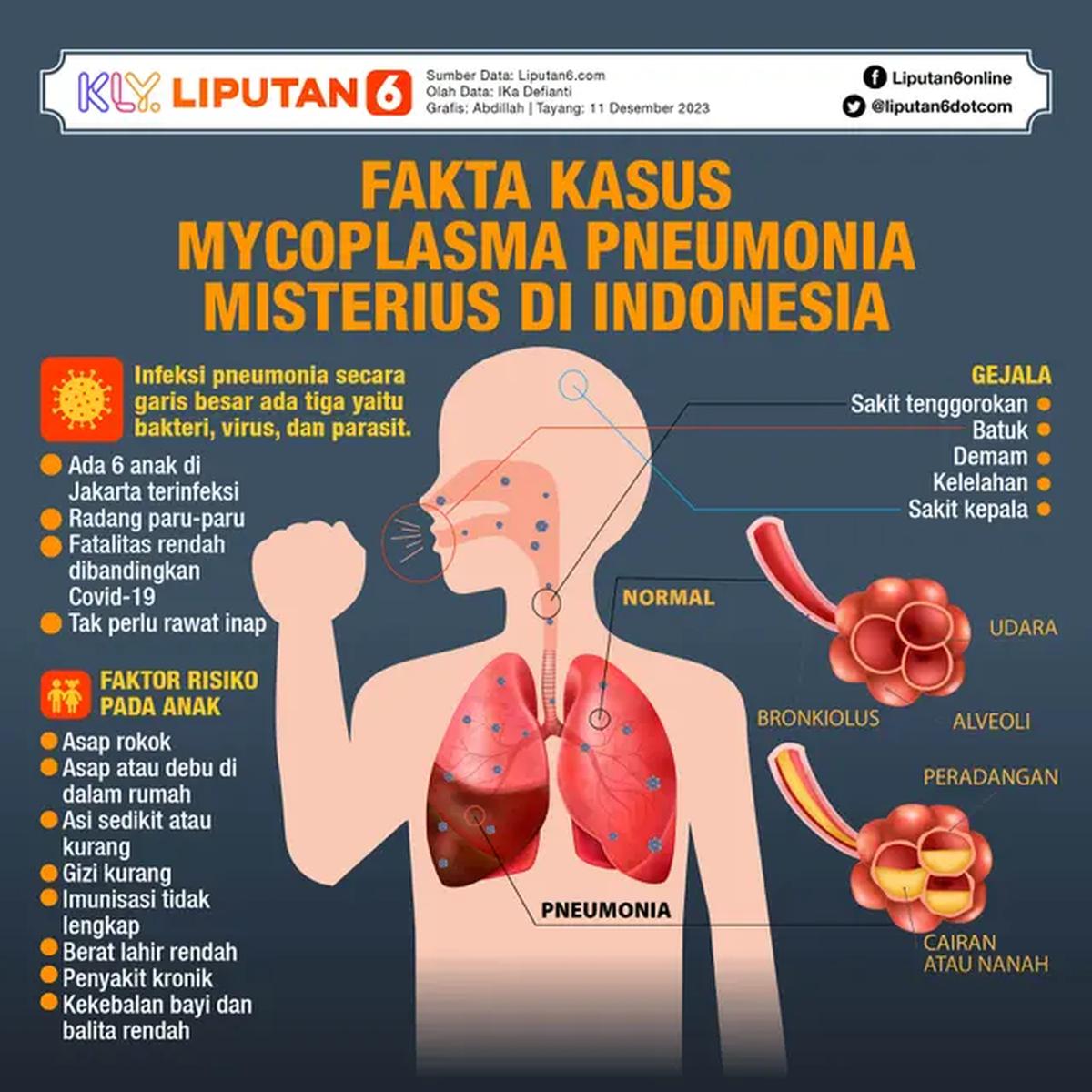 INFOGRAFIS JOURNAL_ Fakta Kasus Mycoplasma Pneumonia Misterius di Indonesia (Liputan6.com/Abdillah)