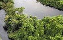 8 Sungai Ini Jadi yang Terpanjang di Dunia 2023