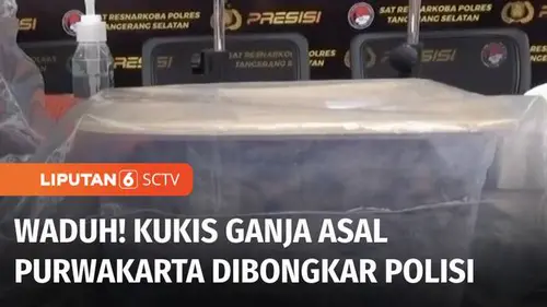 VIDEO: Diduga Membuat dan Siap Edarkan Kue Kering Mengandung Ganja, Tiga Orang Ditangkap