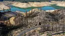 Pantauan udara memperlihatkan pohon-pohon yang terbakar di tepi Danau Orovilledi Oroville, California (1/6/2021). Menyusutnya Danau Oroville juga diperparah dengan kebakaran hutan beberapa waktu lalu yang membuat pepohonan hingga bangunan di sekitar waduk hangus terbakar. (AFP/Justin Sullivan)