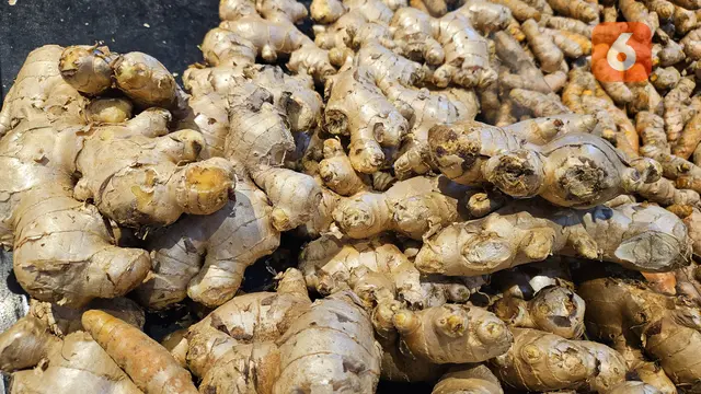 Jahe (Foto: Aditya Eka Prawira/Liputan6.com)