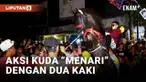 Ratusan santri di Purworejo, Jawa-Tengah merayakan Maulid Nabi dengan menggelar atraksi loncat api dan kirab kuda menari. Acara tersebut sekaligus merayakan kelulusan santri atau khataman bagi para santri yang tamat menghafal Alquran.