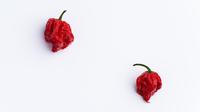 Salah satu cabai terpedas di dunia, carolina reaper. (iStockphoto)
