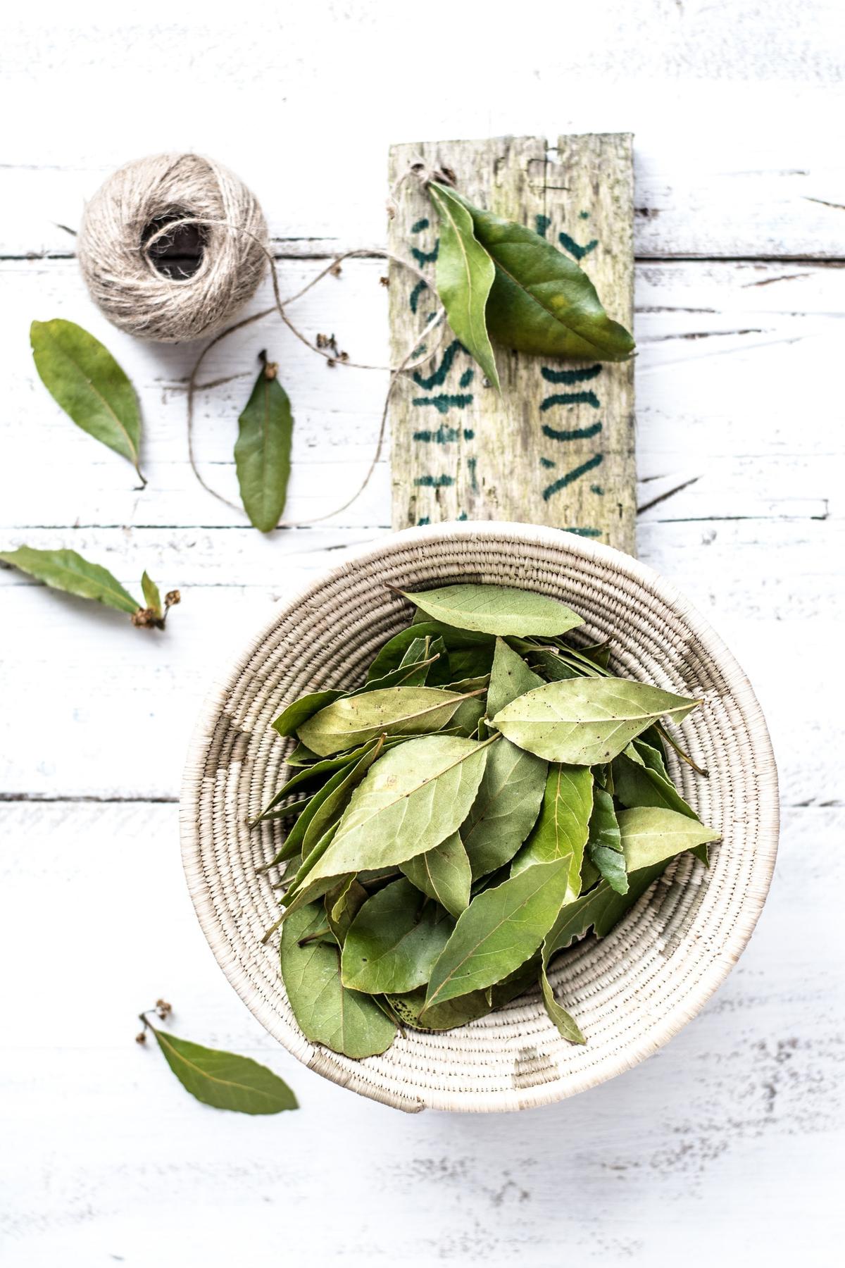 daun salam
