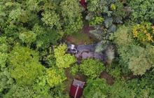 Dapat Dana Karbon, Kutai Timur Fokuskan ke Desa