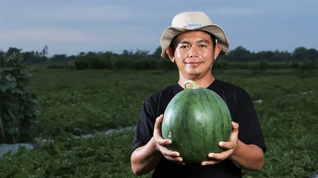 Petani milenial binaan Pupuk Kaltim, Iqbal Abipraya (27)