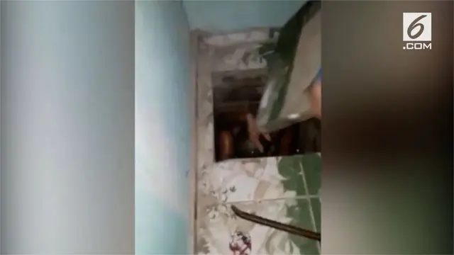 Kepolisian Brasil menemukan narapidana yang buron selama tiga tahun. Ia bersembunyi di dalam bunker yang sudah disiapkan di dalam kamarnya.