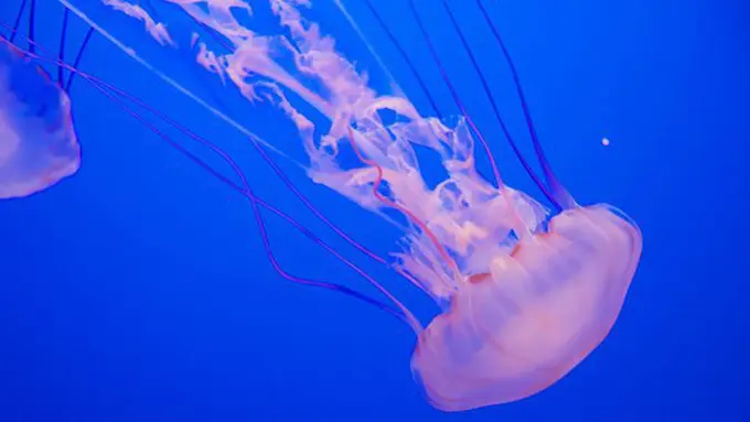 Copyright: unsplash/matt briney