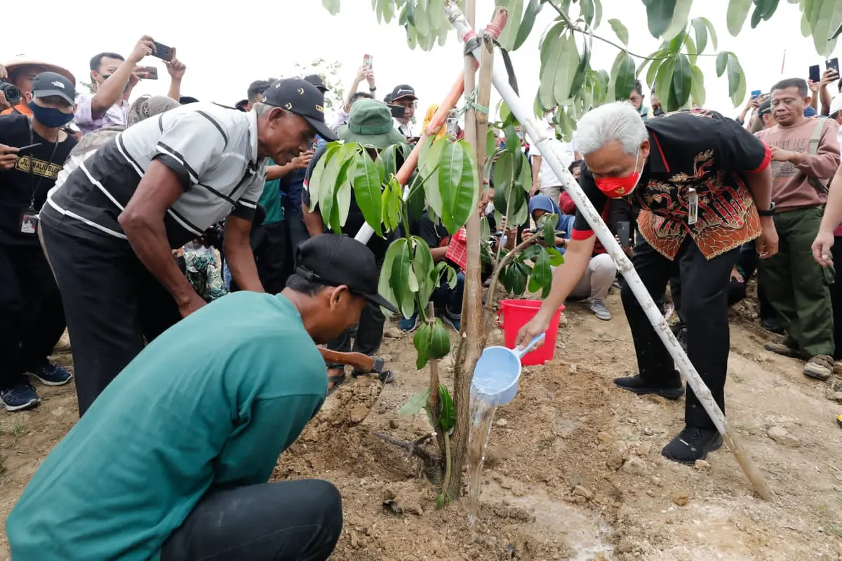 Gubernur Jawa Tengah (Jateng), Ganjar Pranowo (kanan), menanam bibit pohon di lahan gersang Bukit Serut Singonegoro, Jiken, Blora, Jateng (Istimewa)