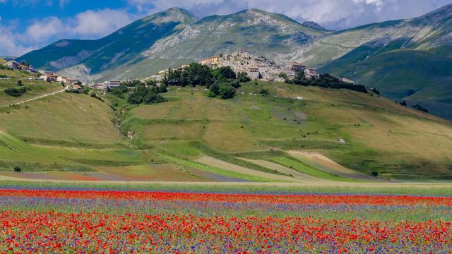 Castelluccio