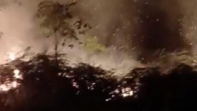 Kebakaran Lahan di Aceh Barat Capai 19 Hektare, BPBD Masih Lakukan Penanganan