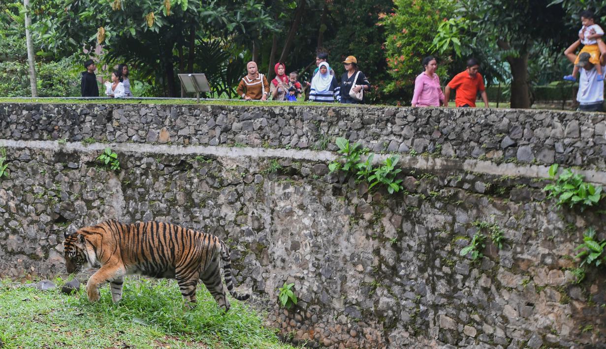 H+1 Lebaran 2025, Ribuan Pengunjung Padati Kebun Binatang Ragunan Jakarta