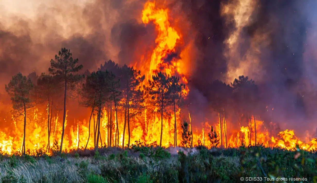 Kondisi kebakaran hutan dekat Landiras, Prancis barat daya, 17 Juli 2022. Petugas pemadam kebakaran berjuang melawan kebakaran hutan yang berkobar di luar kendali di Prancis dan Spanyol ketika Eropa layu di bawah gelombang panas luar biasa ekstrem. (SDIS 33 via AP)