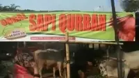 Segmen 2: Calon Haji Terlantar hingga Hewan Kurban 
