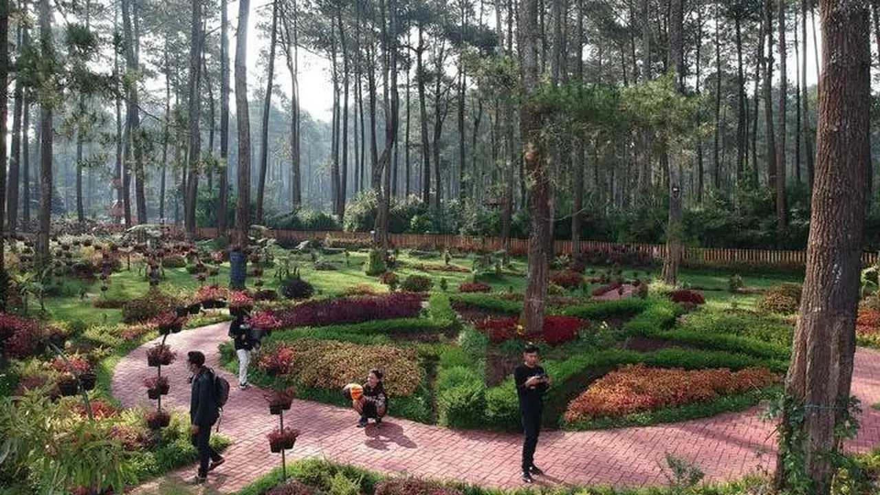 Kebon Pines Cikole Bandung