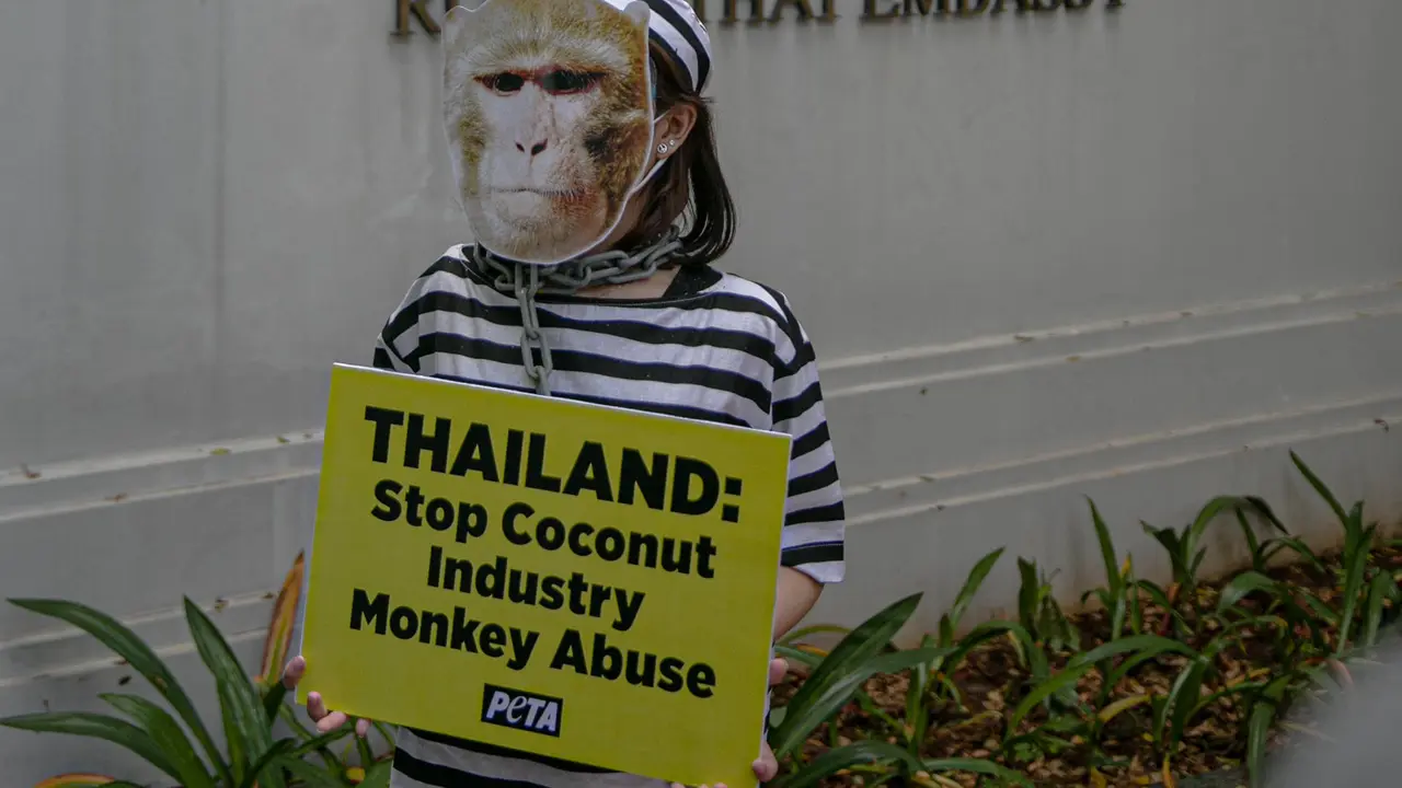 Aksi Mengecam Eksploitasi Hewan di depan Kedubes Thailand