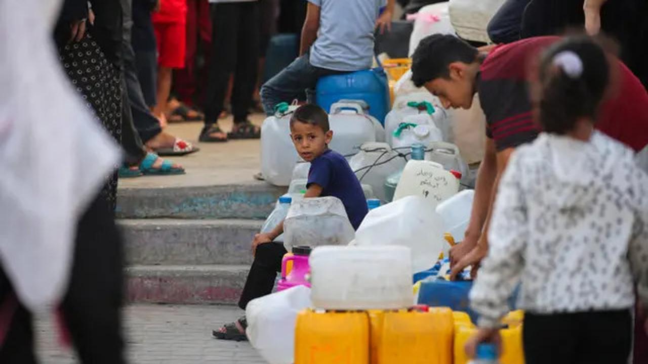 Kata Pengamat Terkait Pengiriman Beras 10.000 Ton Beras dari Indonesia ke Palestina
