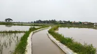 Saluran irigasi di wilayah Serang, Banten. (Foto: Istimewa)