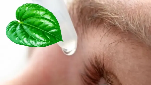 Mata Minus, Daun Sirih dan Daun Kelor