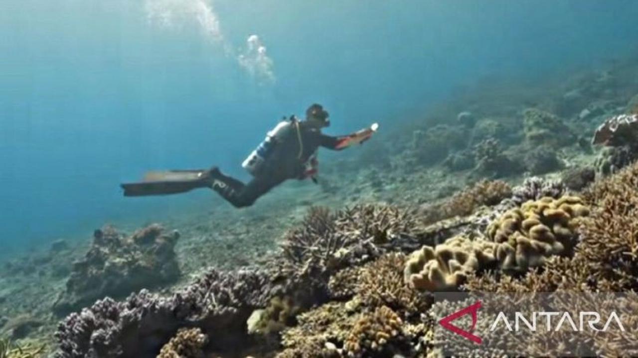 Pemprov Maluku Gencarkan Perlindungan Kawasan Konservasi MBD untuk Ekonomi Biru Berkelanjutan