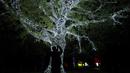 Seorang pengunjung memotret pohon penuh lampu yang bercahaya di Royal Botanic Gardens, Kew, London, Selasa (15/11/2022). Selain memamerkan jalur cahaya dengan satu juta lampu di jalur sepanjang 2,7 km, terdapat cahaya imersif, pohon lampu, terowongan cahaya, dan pertunjukkan cahaya air yang mengesankan. (AP Photo/Kirsty Wigglesworth)