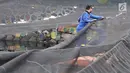 Petugas melepas kain waring atau jaring yang menutupi Kali Item di Kemayoran Jakarta, Rabu (14/11). Pelepasan waring yang sebagian dalam kondisi sudah robek itu dilakukan lantaran banyak warga yang membuang sampah di atasnya (Merdeka.com/Iqbal S. Nugroho)