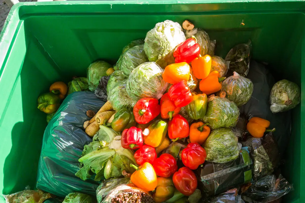 Bagaimana Food Waste Berpengaruh Terhadap Kerusakan Lingkungan?