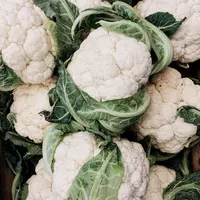 ilustrasi kembang kol/Photo by Irene Kredenets on Unsplash