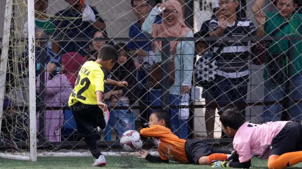 Liga Bola Indonesia