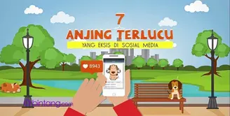 Anjing adalah Binatang peliharaan yang cocok untuk jadi sahabat bermain, tapi kelakuan anjing ini membuat dirinya terkenal di sosial media. Seperti apa Anjing yang paling terkenal ini? Yuk, saksikan!