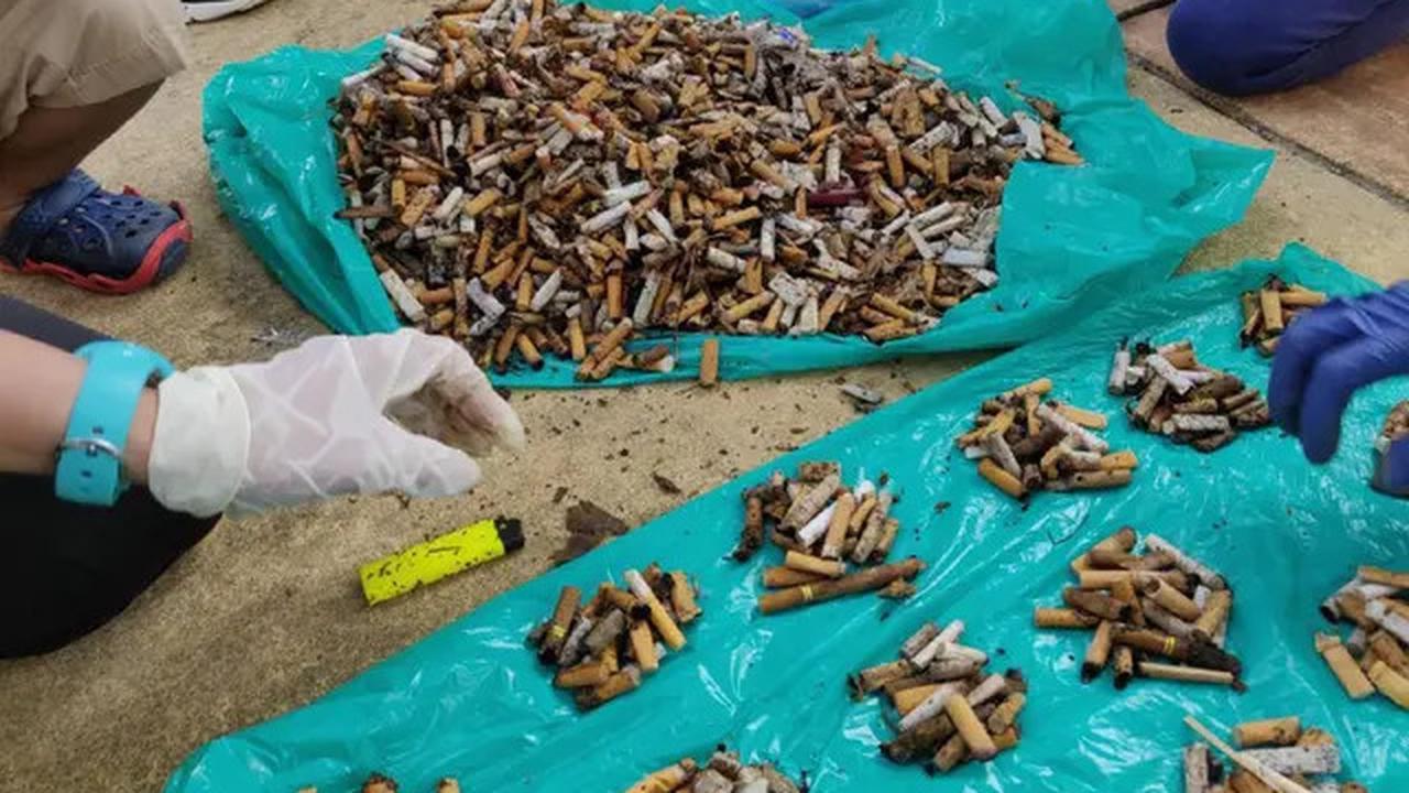 Sampah Rokok Diubah Jadi Aspal Tahan Retak, Temuan Ilmuwan Ini Bikin Takjub!