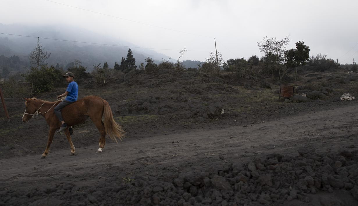 Seorang remaja mengendarai kuda di jalan tanah yang tertutup abu saat terjadi letusan gunung Pacaya di San Francisco De Sales, Guatemala, Selasa (23/3/2021). Abu juga menghujani sejumlah pesawat di kota itu hingga pihak berwenang pun menutup bandara internasional La Aurora (AP Photo/Moises Castillo)