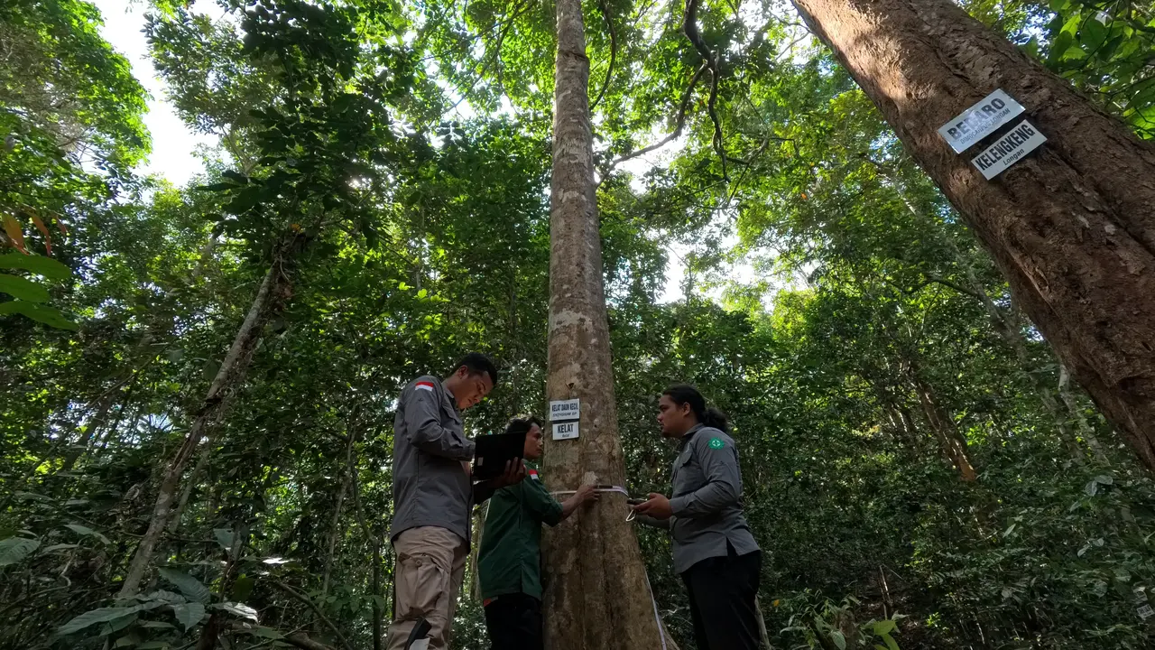 Apple dan WWF Indonesia Kolaborasi Jaga Bukit Tigapuluh di Sumatra