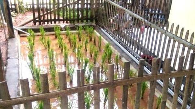 6 Kelakuan Bapak-Bapak saat Menamam Ini Bikin Geleng Kepala