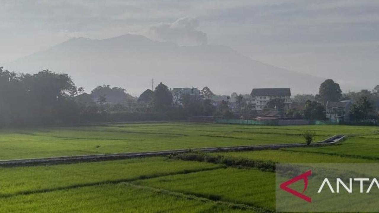 Badan Geologi Pastikan Aktivitas Gunung Marapi Stabil, Tak Ada Peningkatan Signifikan