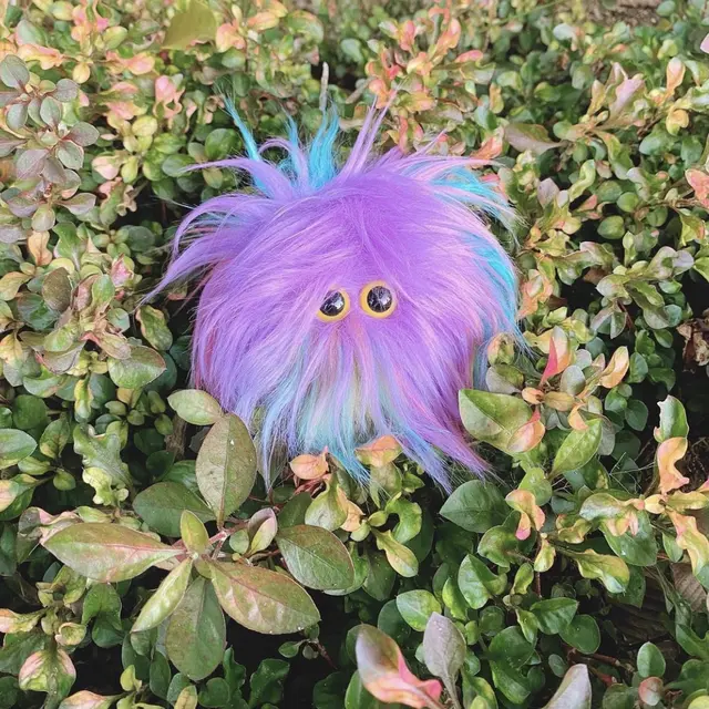 Sensory Toys dari Jimo Pet